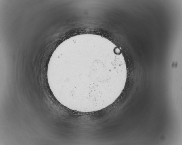 X0000114030769200910231858