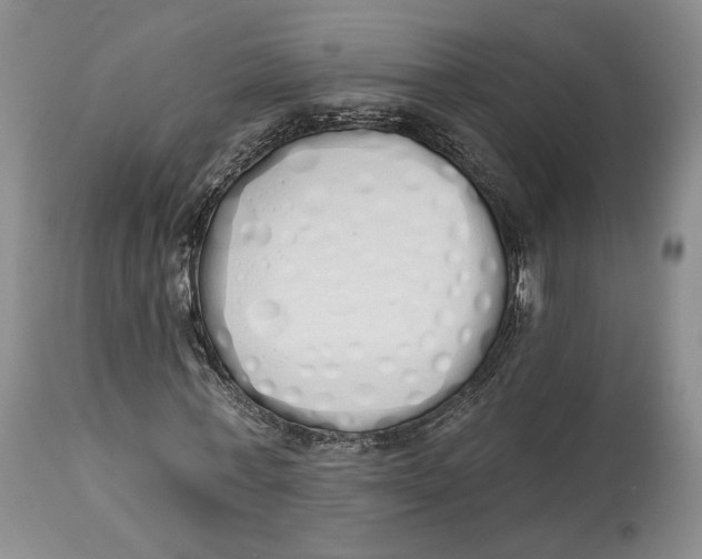 X0000114030771200910231858