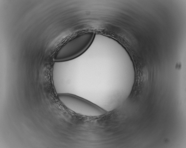 X0000114030773200910231858