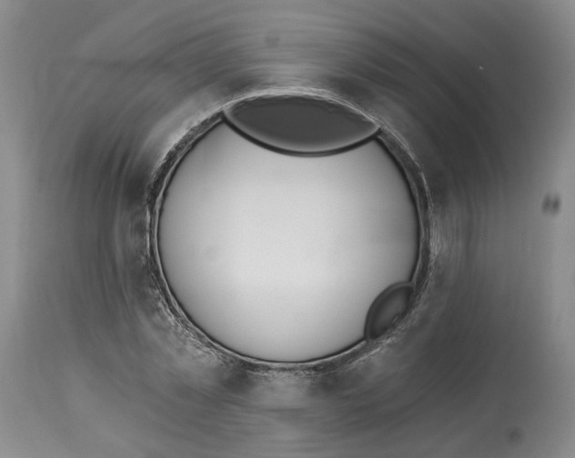 X0000114030781200910231858