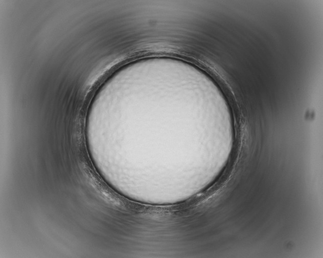 X0000114030782200910231858