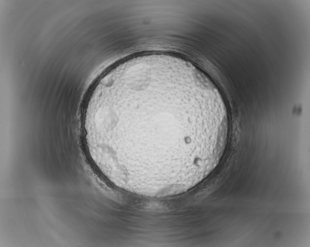 X0000114030787200910231858