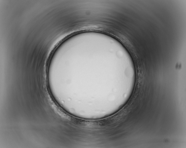 X0000114030792200910231858