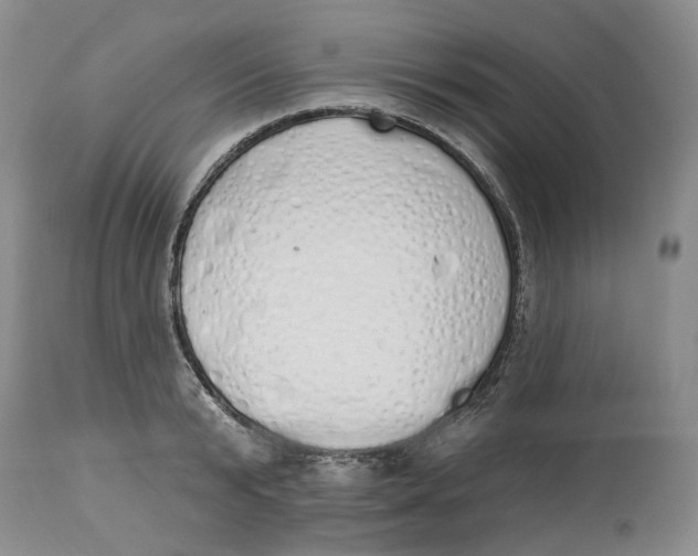 X0000114030799200910231858