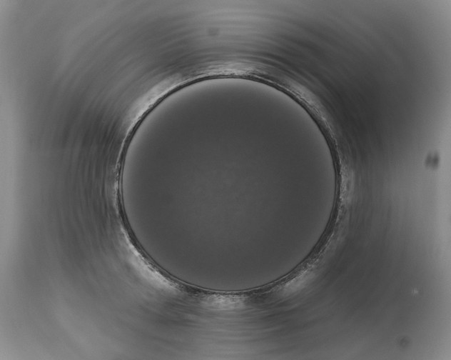 X0000114030802200910231858