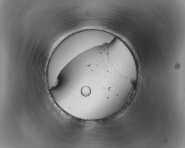 X0000114030807200910231858