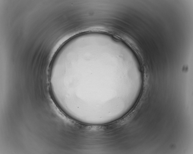 X0000114030808200910231858