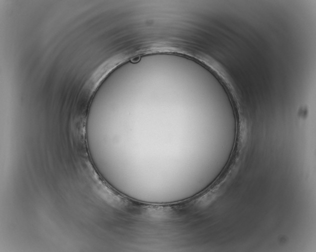 X0000114030809200910231858