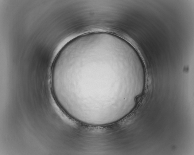 X0000114030811200910231858