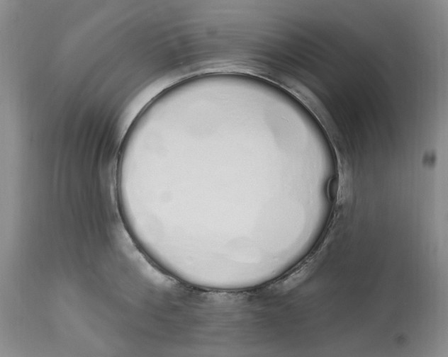 X0000114030812200910231858