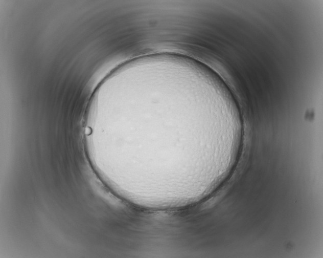 X0000114030814200910231858