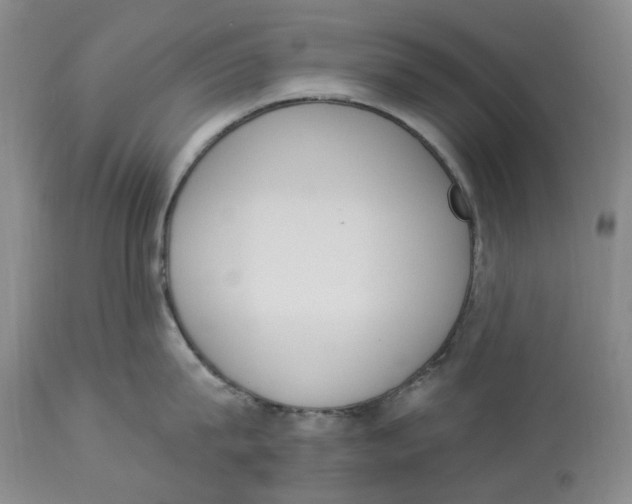 X0000114030815200910231858