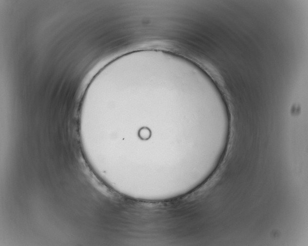 X0000114030816200910231858