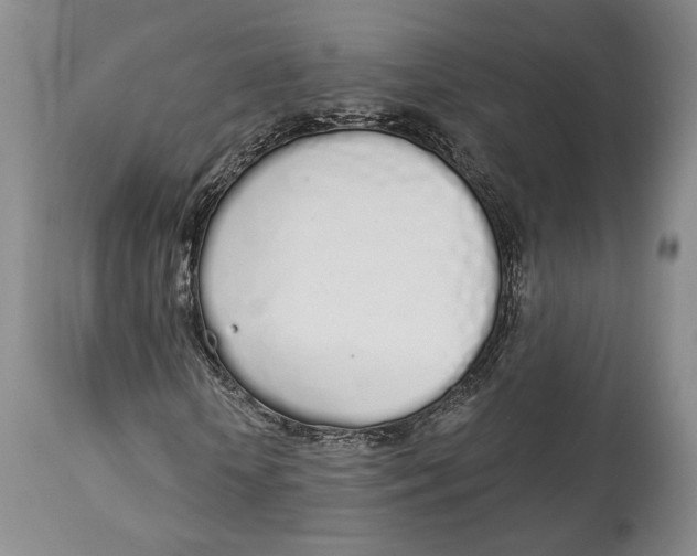 X0000114030818200910231857