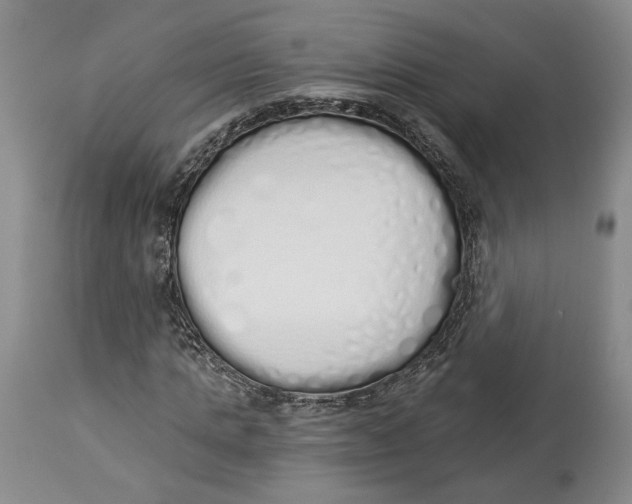 X0000114030821200910231857