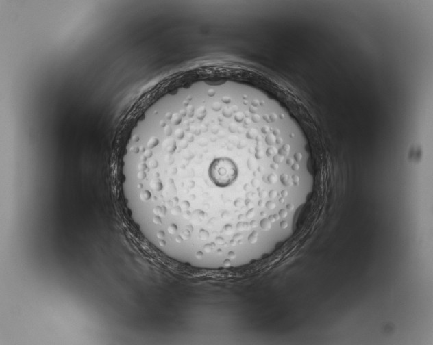 X0000114030822200910231857