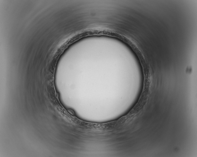 X0000114030823200910231857