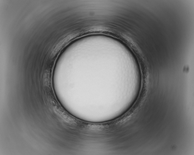 X0000114030825200910231857