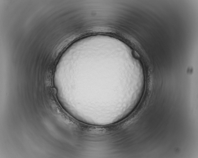 X0000114030833200910231857