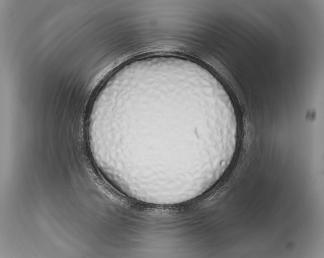 X0000114030834200910231857