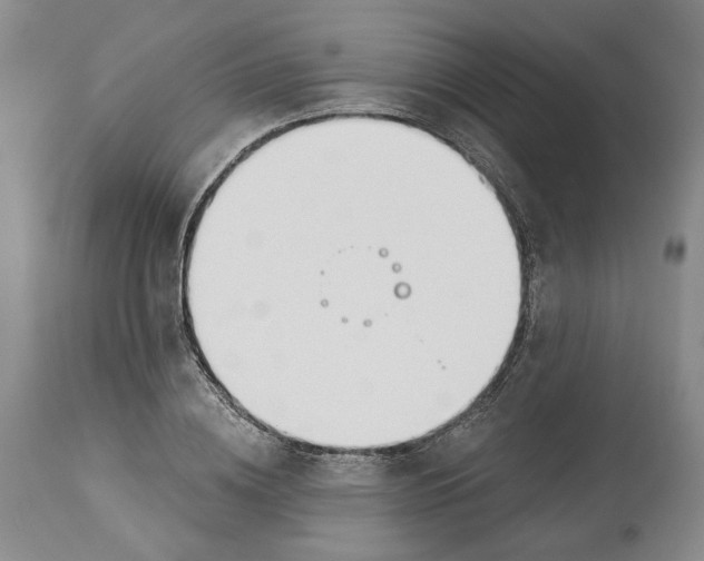 X0000114030836200910231857