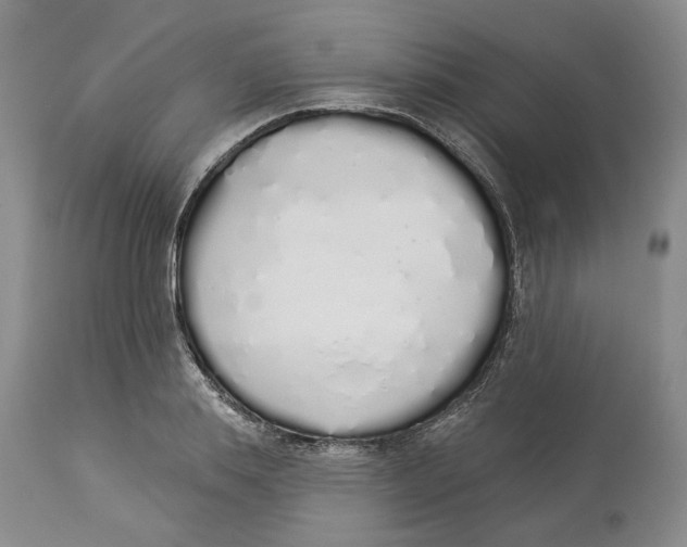 X0000114030839200910231857