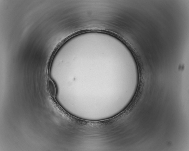 X0000114030840200910231857