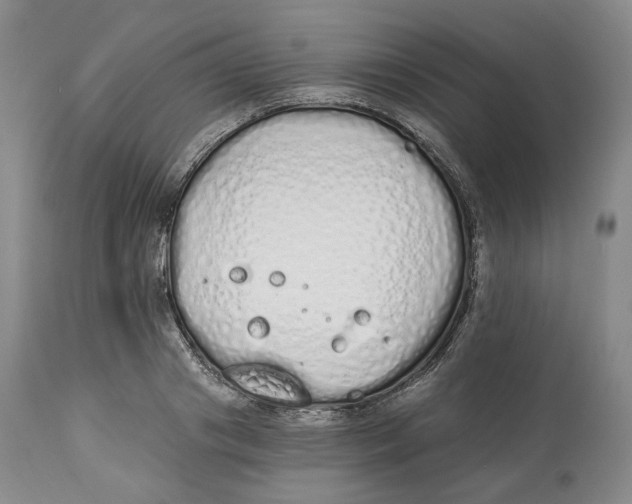 X0000114030841200910231857