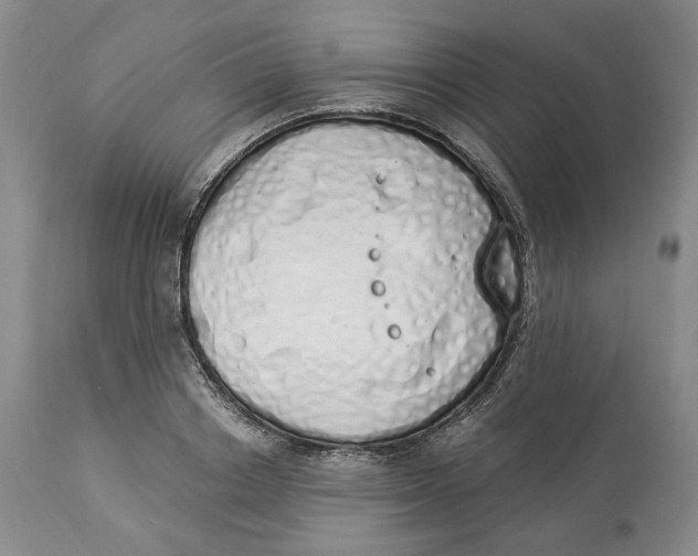 X0000114030842200910231857