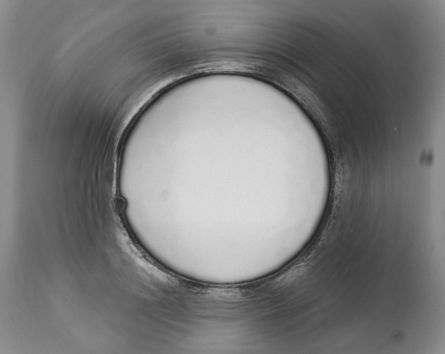 X0000114030844200910231857