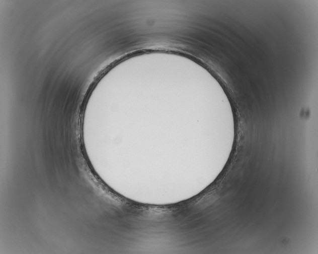 X0000114030848200910231857