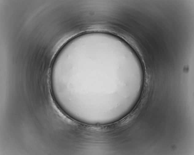 X0000114030855200910231857