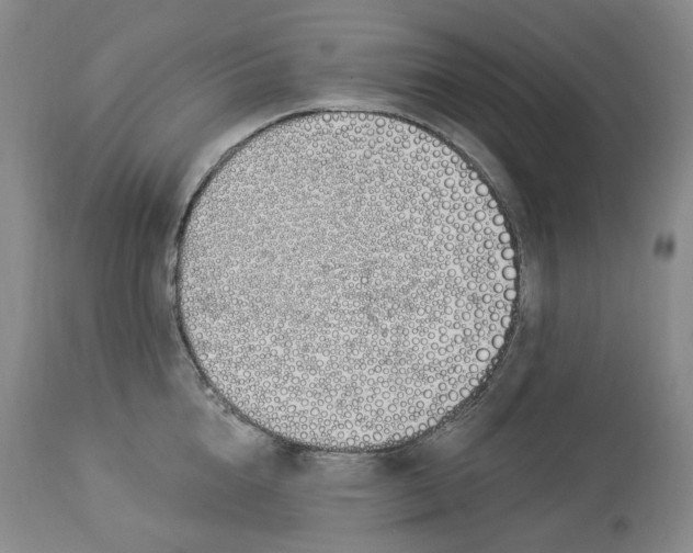 X0000114030856200910231857