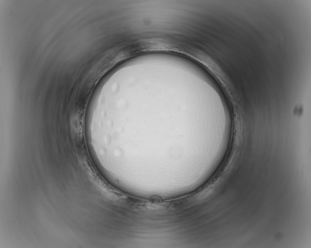 X0000114030857200910231857