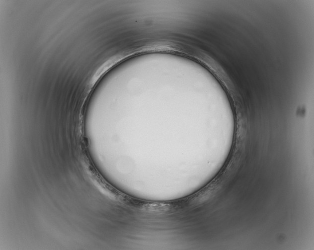 X0000114030858200910231857