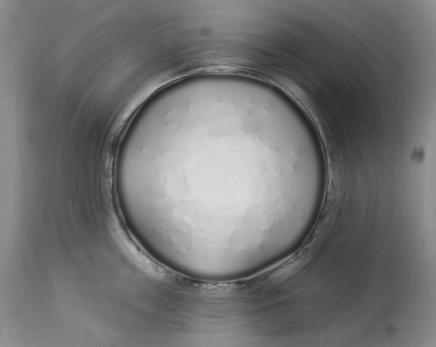 X0000114030859200910231857