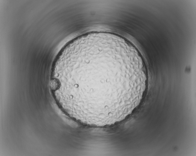 X0000114030861200910231857