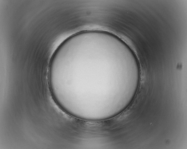 X0000114030863200910231857