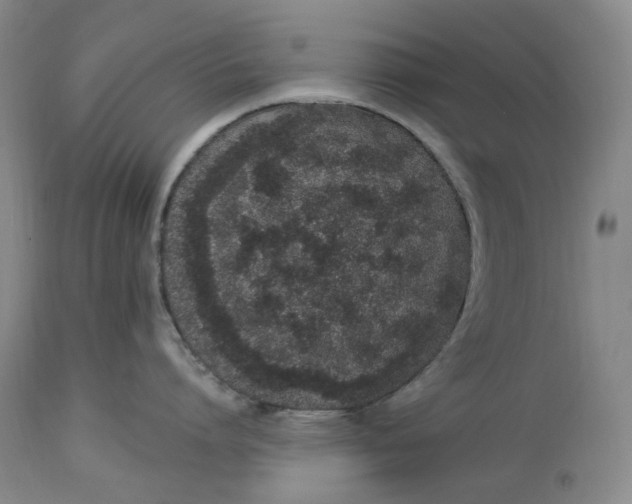 X0000114030864200910231858