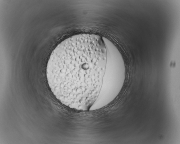 X0000114030865200910231857