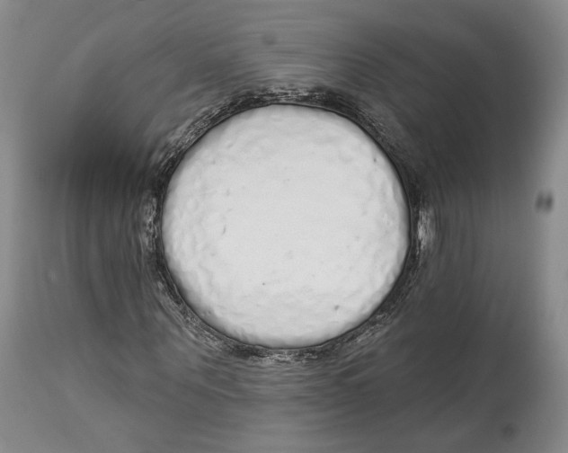 X0000114030867200910231857