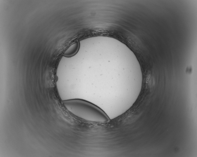 X0000114030868200910231857