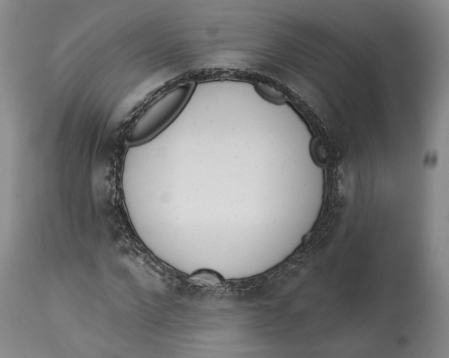 X0000114030872200910231857