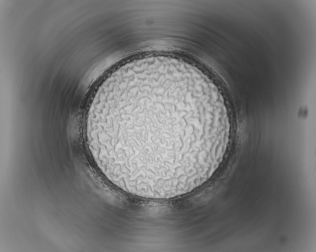 X0000114030874200910231857