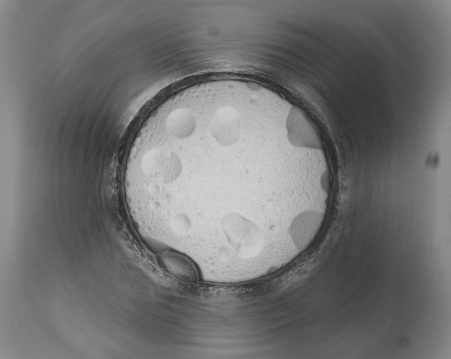 X0000114030875200910231857