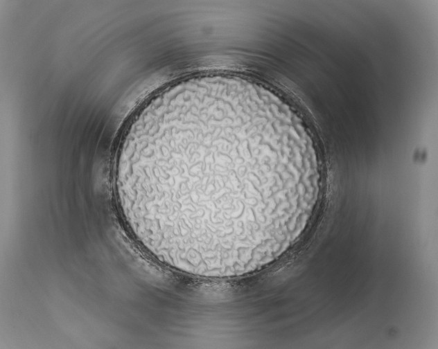 X0000114030882200910231857