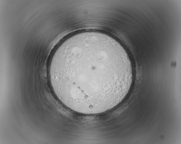 X0000114030883200910231857