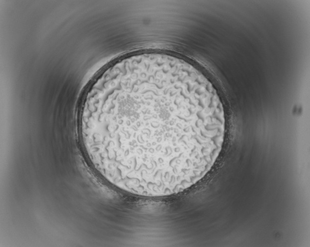 X0000114030886200910231857