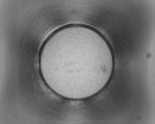 X0000114030887200910231857