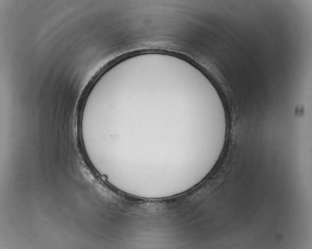 X0000114030888200910231857